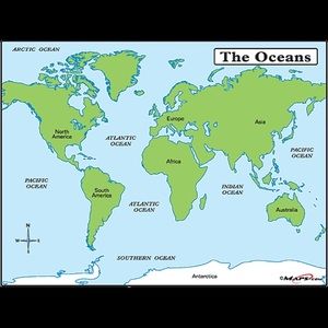 Meet your Posher, Bill